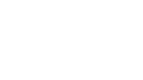 TimTBI Logo